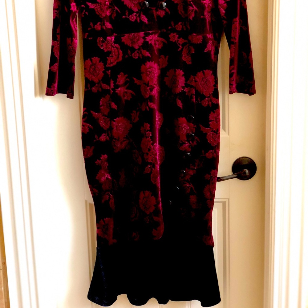Burgundy, velvet, rose printed dress.